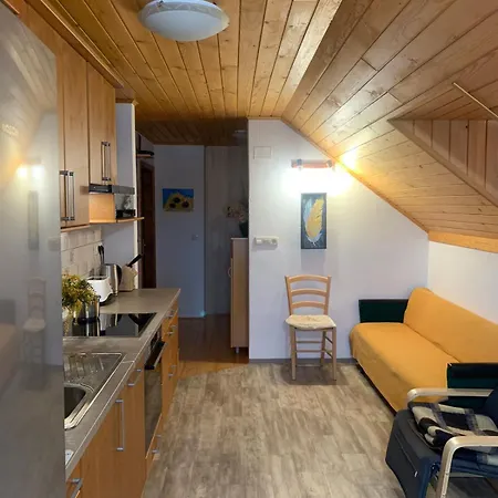 Apartma Pri Tavcarju *