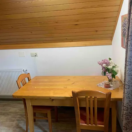 Apartma Pri Tavcarju Apartment *