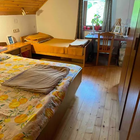 Apartma Apartma Pri Tavcarju *