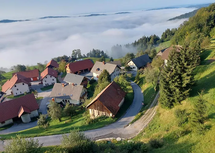 Apartment Apartma Pri Tavcarju *